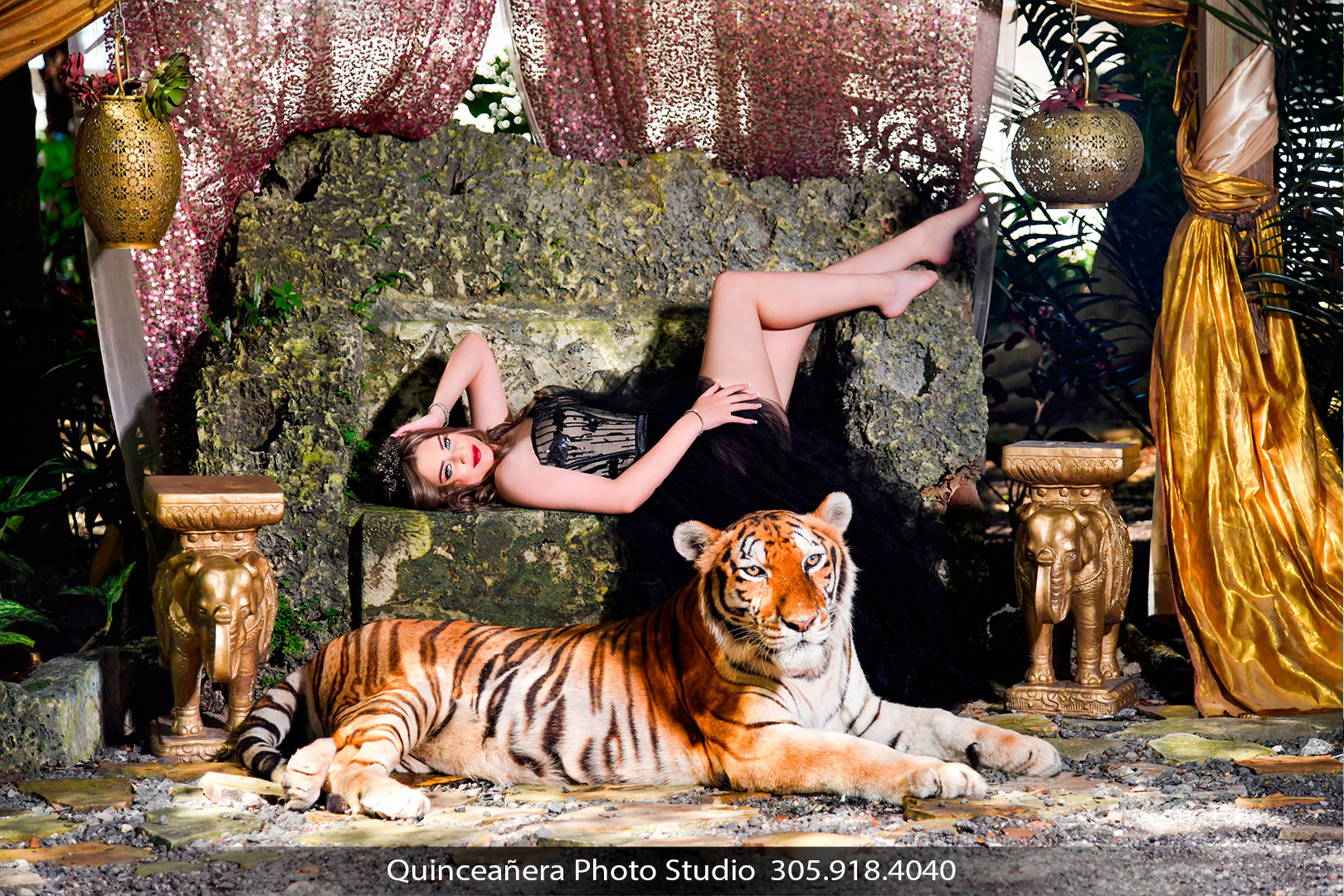 Capture the Essence of Quinceañera with an Artistic Pose and a Tiger